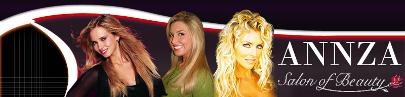 annza salon of beauty houston
